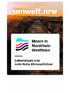 Cover Moore in NRW.jpg