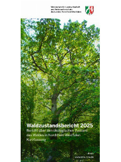 Vorschaubild Waldzustandsbericht 2025 kurz.jpg
