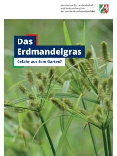 Vorschaubild Erdmandelgras.JPG